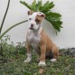 Dos meses